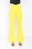 Picture of Woman Yellow Classical Flare Trotter Trousers