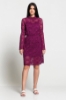 Picture of Woman Dark Fuchsia Lace Long Maxi Sleeve Dress