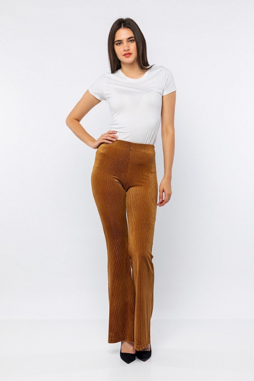 Picture of Woman Brown Velvet Flare Trotter Silvery Trousers