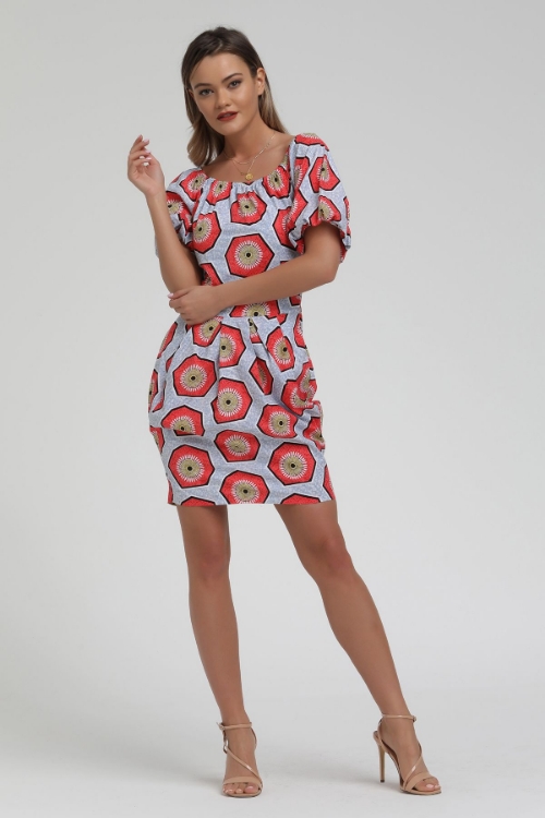 Picture of Woman Grey Geometric Patterned Watermelon Sleeve Short Dress